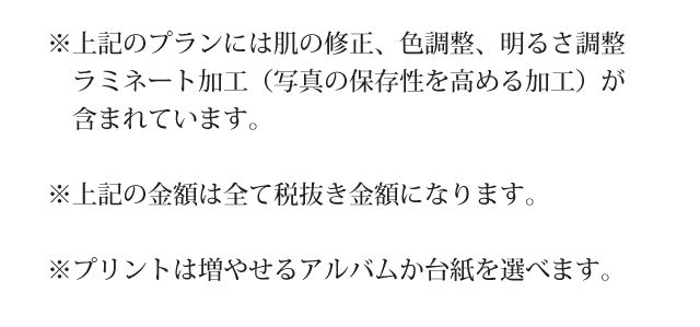 20th_plan04